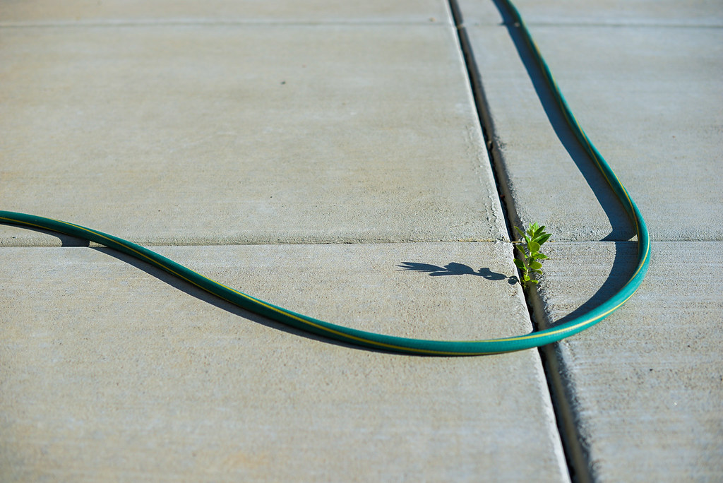 Migliori tubi da giardino, tubo da giardino, miglior tubo da giardino, tubo per innaffiare, tubo per irrigare