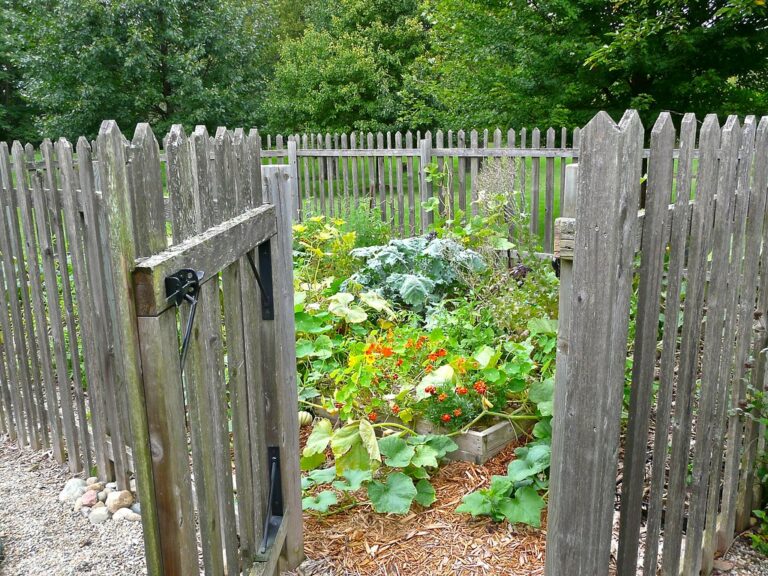 Come recintare un giardino, giardino, recinzione, recinto, giardino recintato, recinzione in legno, piante