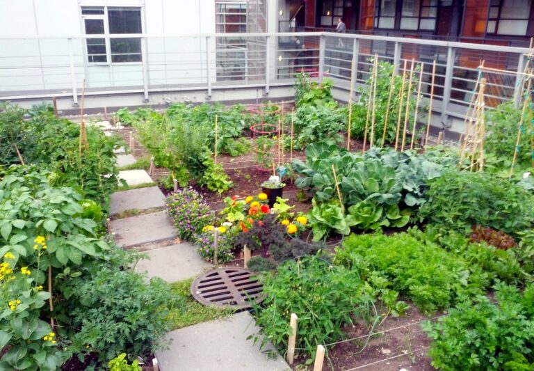 Come realizzare un giardino in terrazzo, terrazzo, rooftop garden, piante, fiori, aiuole