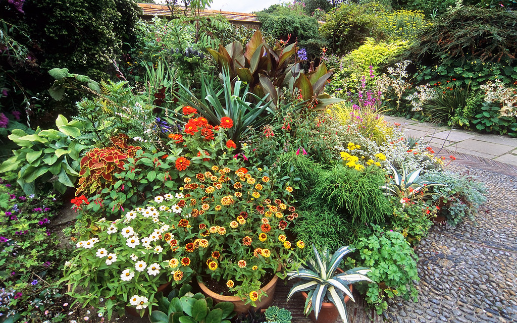 Come arredare un giardino, Giardino, Piante, Piante Ornamentali, Vasi