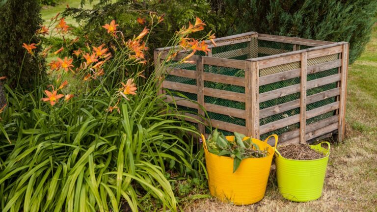 migliori compostiere da giardino, migliore compostiera da giardino, compostiera, comprare compostiera