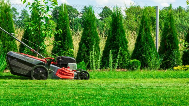 Come scegliere il tagliaerba giusto, scegliere tosaerba, taglierba adatto al mio giardino