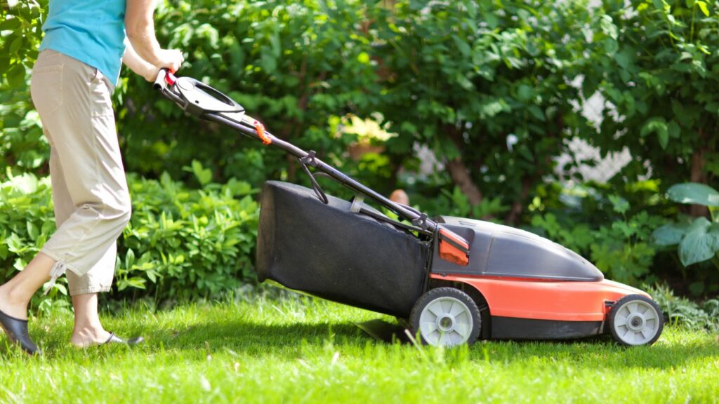 Miglior tagliaerba a batteria, tagliaerba a batteria per il giardino, tagliaerba a batteria, rasaerba a batteria